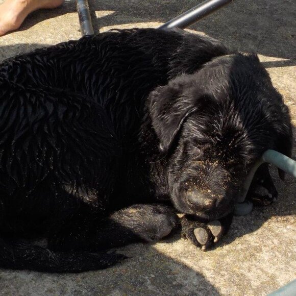 Meet your Posher, Cindy - Picture 2 of 5